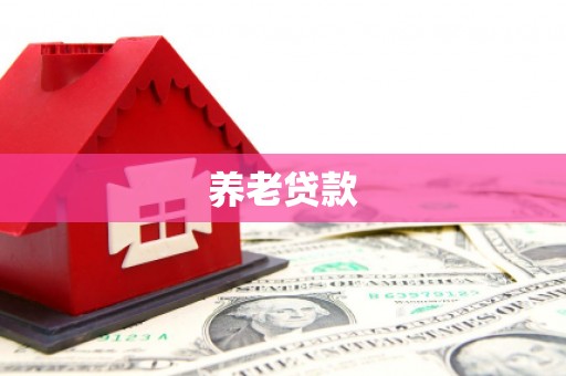 上杭养老贷款