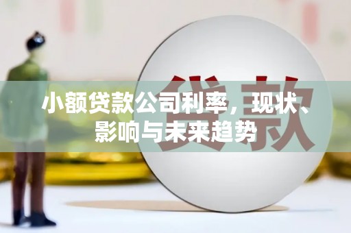 上杭小额贷款公司利率，现状、影响与未来趋势