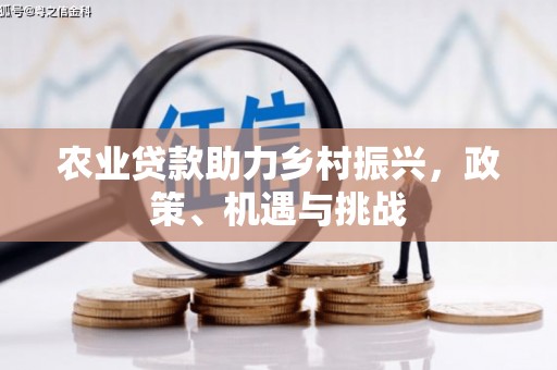上杭农业贷款助力乡村振兴，政策、机遇与挑战