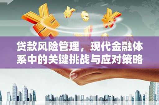 上杭贷款风险管理，现代金融体系中的关键挑战与应对策略