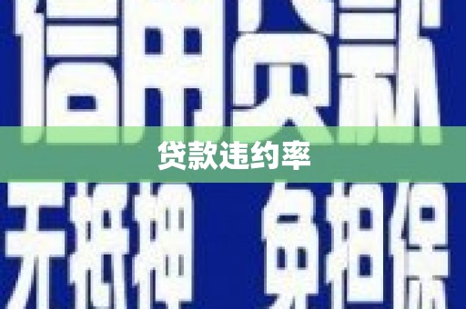 上杭贷款违约率