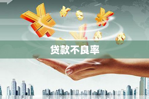 上杭贷款不良率