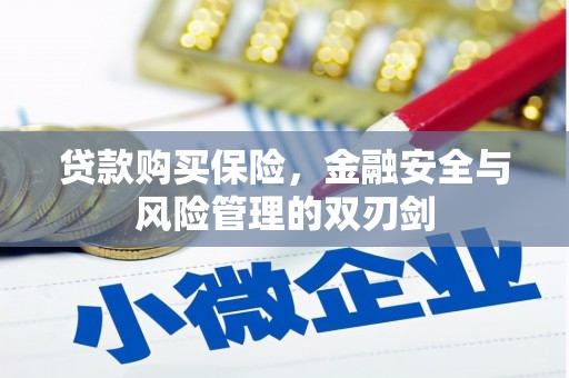 上杭贷款购买保险，金融安全与风险管理的双刃剑