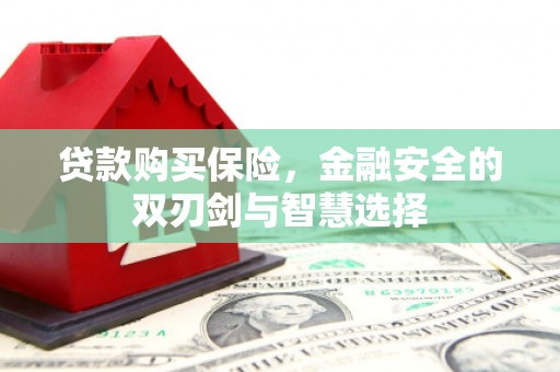 上杭贷款购买保险，金融安全的双刃剑与智慧选择