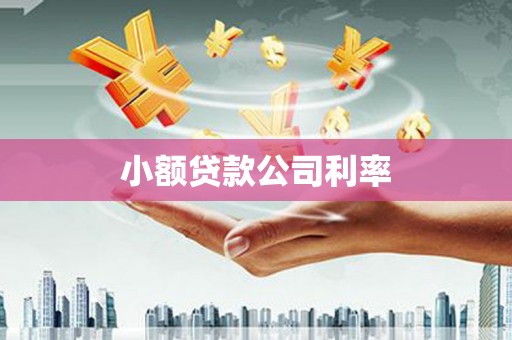 上杭小额贷款公司利率