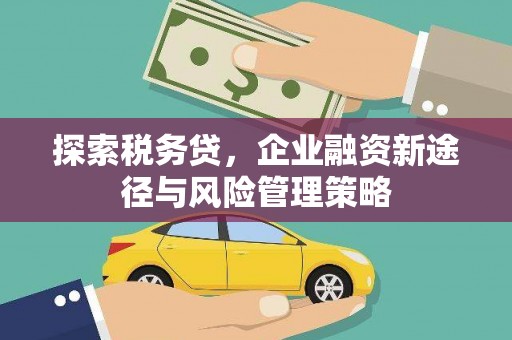 上杭探索税务贷，企业融资新途径与风险管理策略