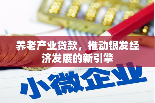 上杭养老产业贷款，推动银发经济发展的新引擎