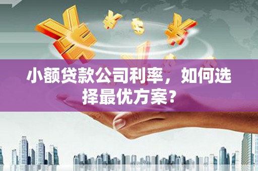 上杭小额贷款公司利率，如何选择最优方案？