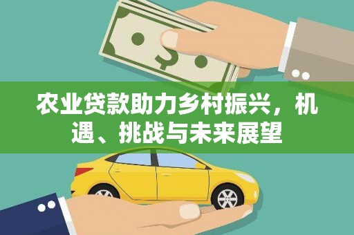 上杭农业贷款助力乡村振兴，机遇、挑战与未来展望