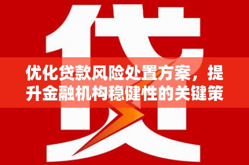 上杭优化贷款风险处置方案，提升金融机构稳健性的关键策略
