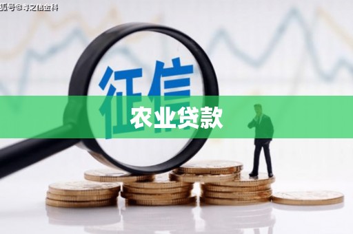 上杭农业贷款