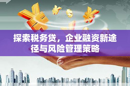 上杭探索税务贷，企业融资新途径与风险管理策略