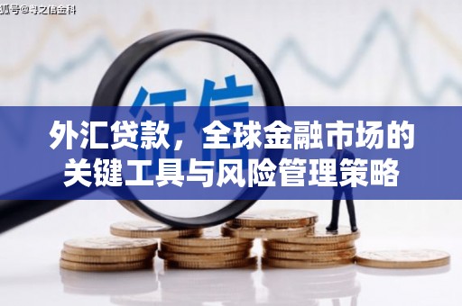 上杭外汇贷款，全球金融市场的关键工具与风险管理策略