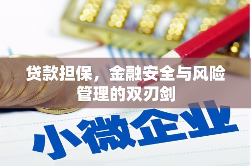 上杭贷款担保，金融安全与风险管理的双刃剑