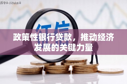 上杭政策性银行贷款，推动经济发展的关键力量