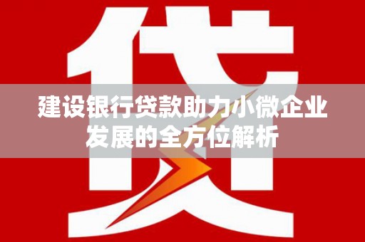 上杭建设银行贷款助力小微企业发展的全方位解析