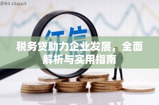 上杭税务贷助力企业发展，全面解析与实用指南