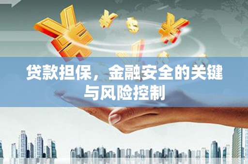 上杭贷款担保，金融安全的关键与风险控制