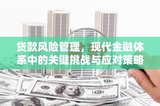 上杭贷款风险管理，现代金融体系中的关键挑战与应对策略
