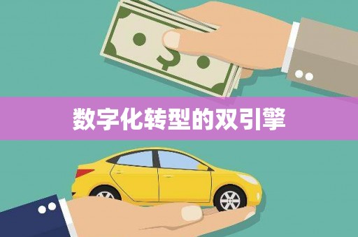 上杭数字化转型的双引擎