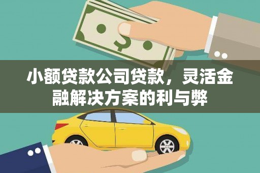 上杭小额贷款公司贷款，灵活金融解决方案的利与弊